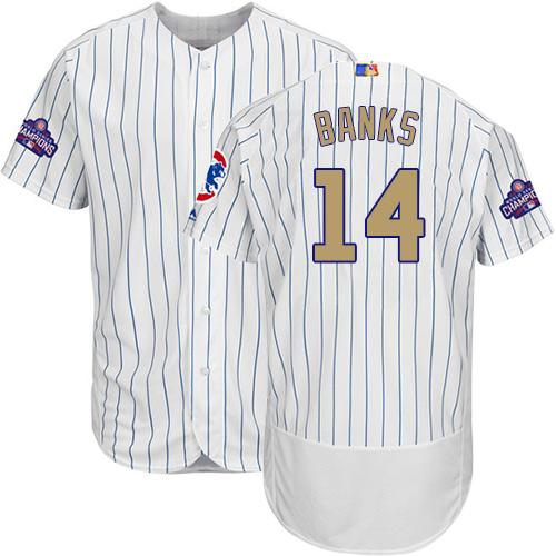 Cubs #14 Ernie Banks White(Blue Strip) Flexbase Authentic 2017 Gold Program Stitched MLB Jersey